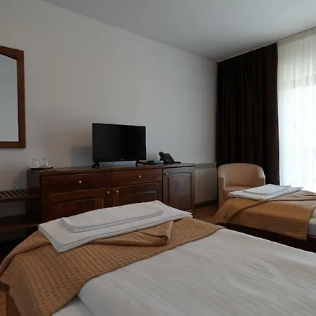 Guest house Conacul Lacurilor Baile Herculane